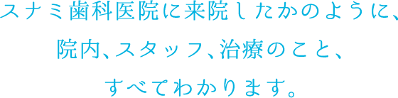 スナミ歯科医院に来院したかのように、院内、スタッフ、治療のこと、すべてわかります。